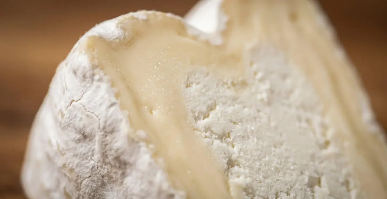 Gros plan macro sur la texture granuleuse et crayeuse de la pâte d'un Neufchâtel affiné montrant les cristaux lactiques