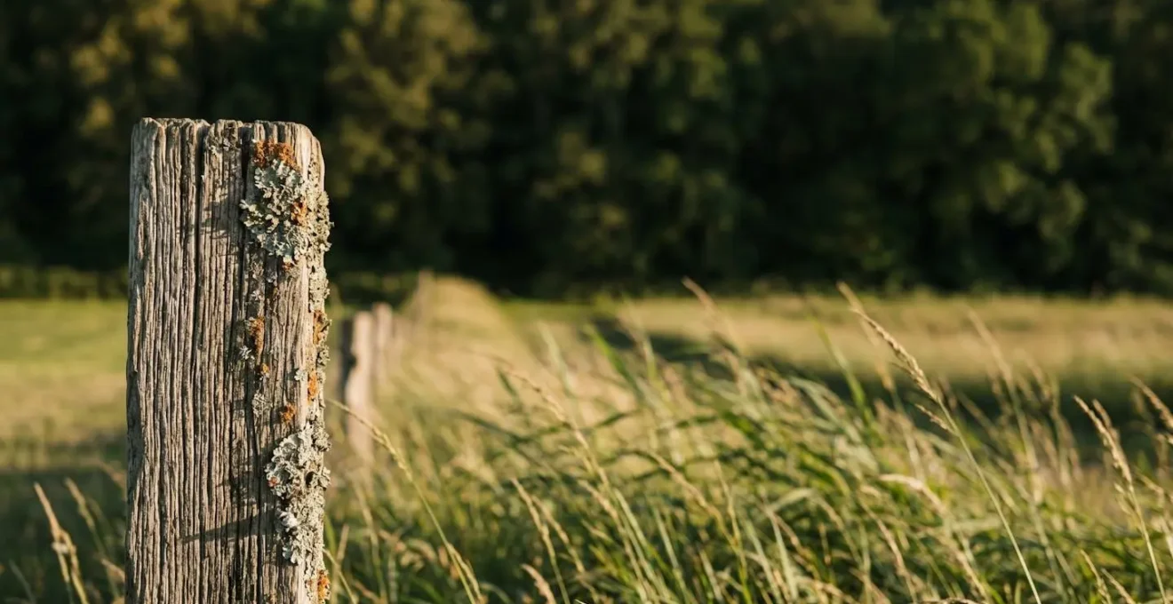 Paysage normand typique avec bocage, chemins creux et végétation luxuriante pour la randonnée