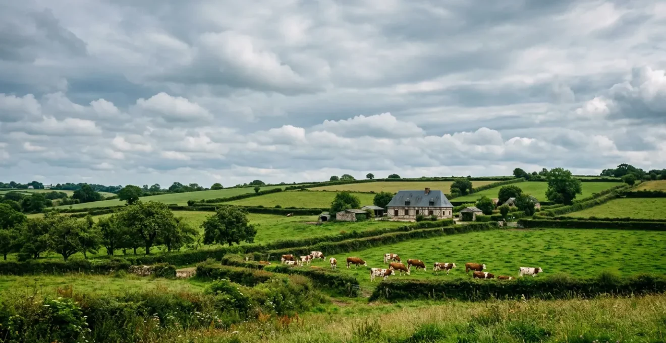 Vue panoramique des pâturages verdoyants du bocage normand avec vaches normandes à lunettes sous un ciel typiquement changeant de la région