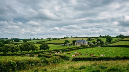 Vue panoramique des pâturages verdoyants du bocage normand avec vaches normandes à lunettes sous un ciel typiquement changeant de la région